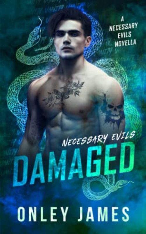 Damaged (Necessary Evils)