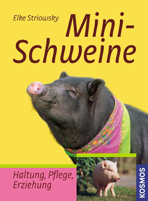 Minischweine