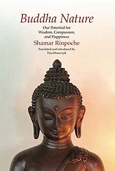 Buddha Nature: Our Potential for Wisdom, Compassion, and Happiness