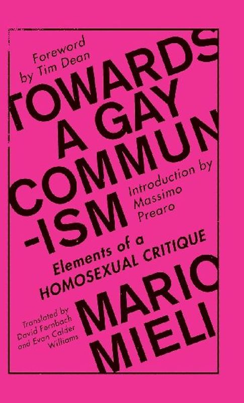 Towards a Gay Communism