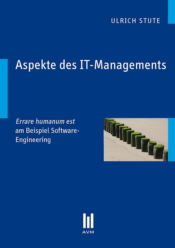 Aspekte des IT-Managements