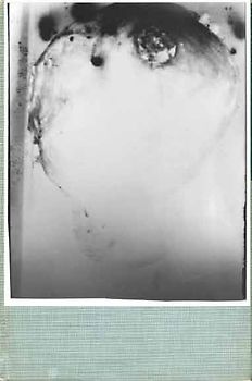 Peter Buggenhout presents Moby Dick