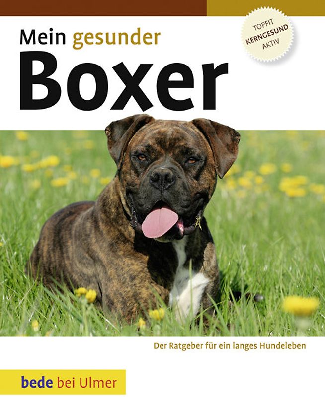Mein gesunder Boxer