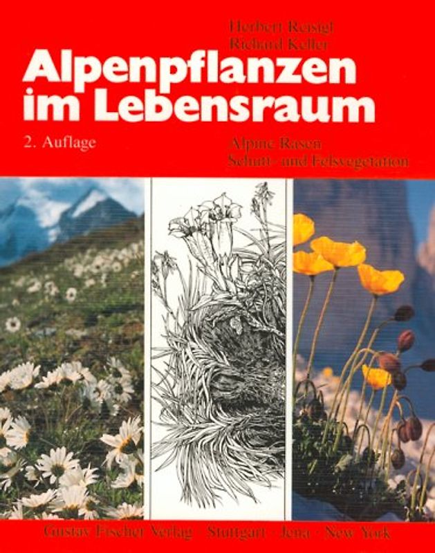 Alpenpflanzen im Lebensraum. Alpine Rasen-, Schutt- und Felsvegetation. Vegetationsökologische Informationen für Studien, Exkursionen und Wanderungen