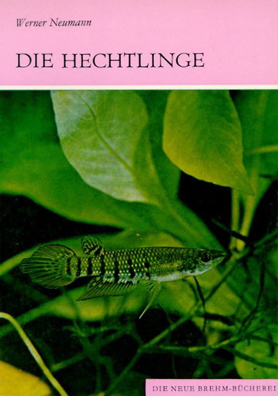 Die Hechtlinge