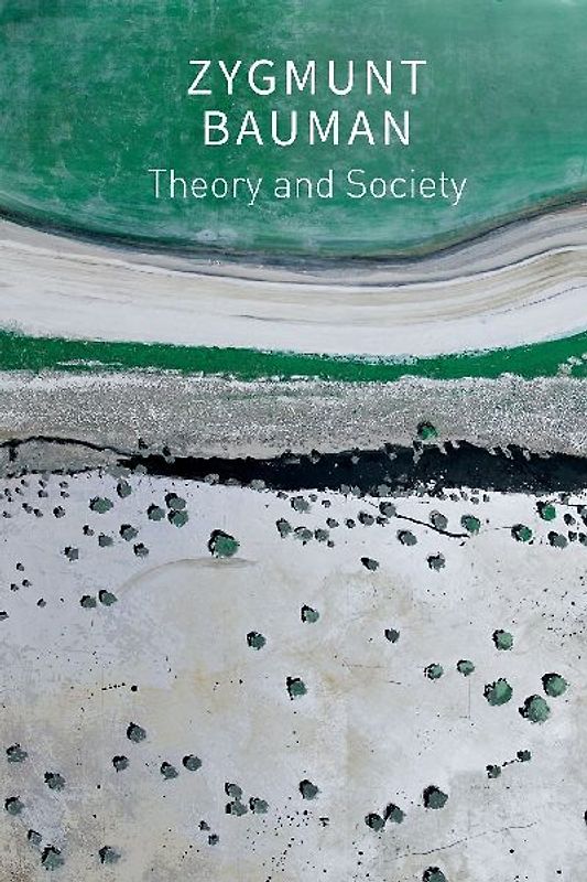 Theory and Society