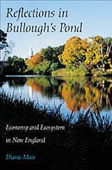 Reflections in Bullough's Pond