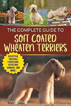 The Complete Guide to Soft Coated Wheaten Terriers