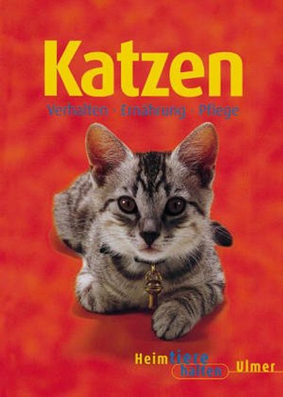 Katzen