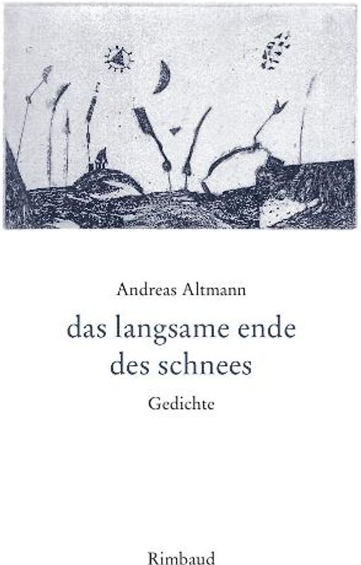 das langsame ende des schnees