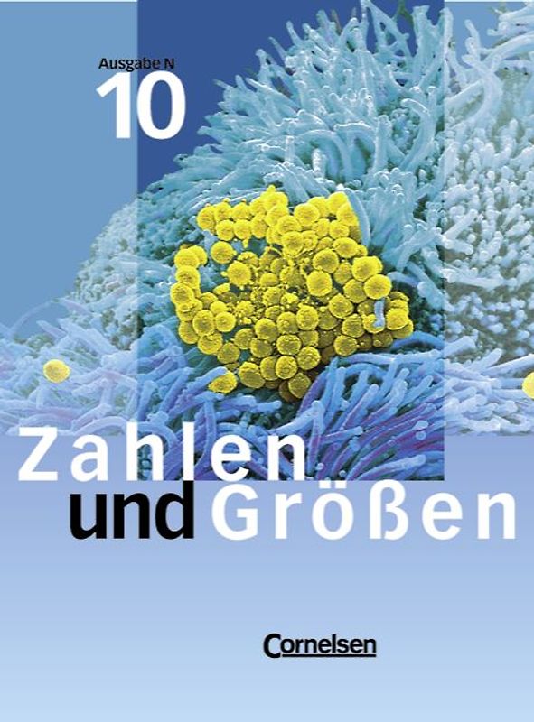 Zahlen und Größen. Ausgabe N / 10. Schuljahr - Schülerbuch