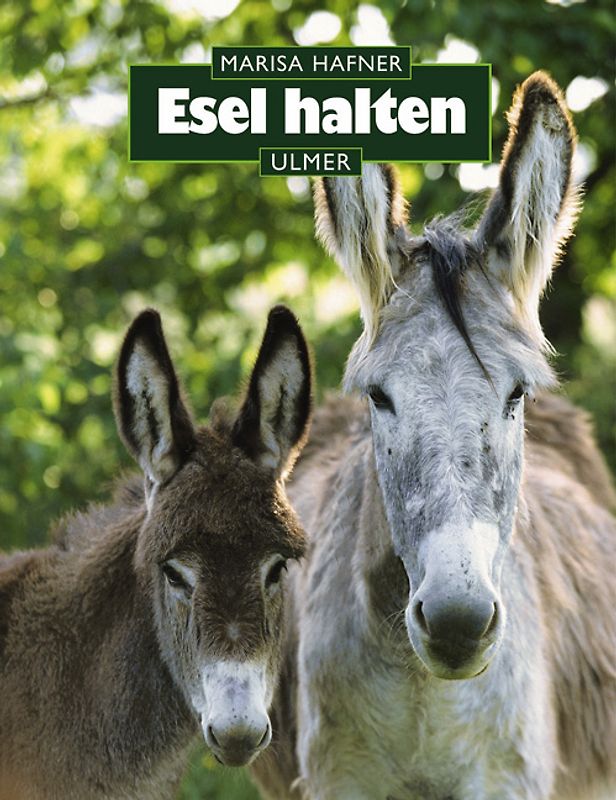 Esel halten