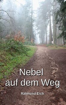 Nebel auf dem Weg