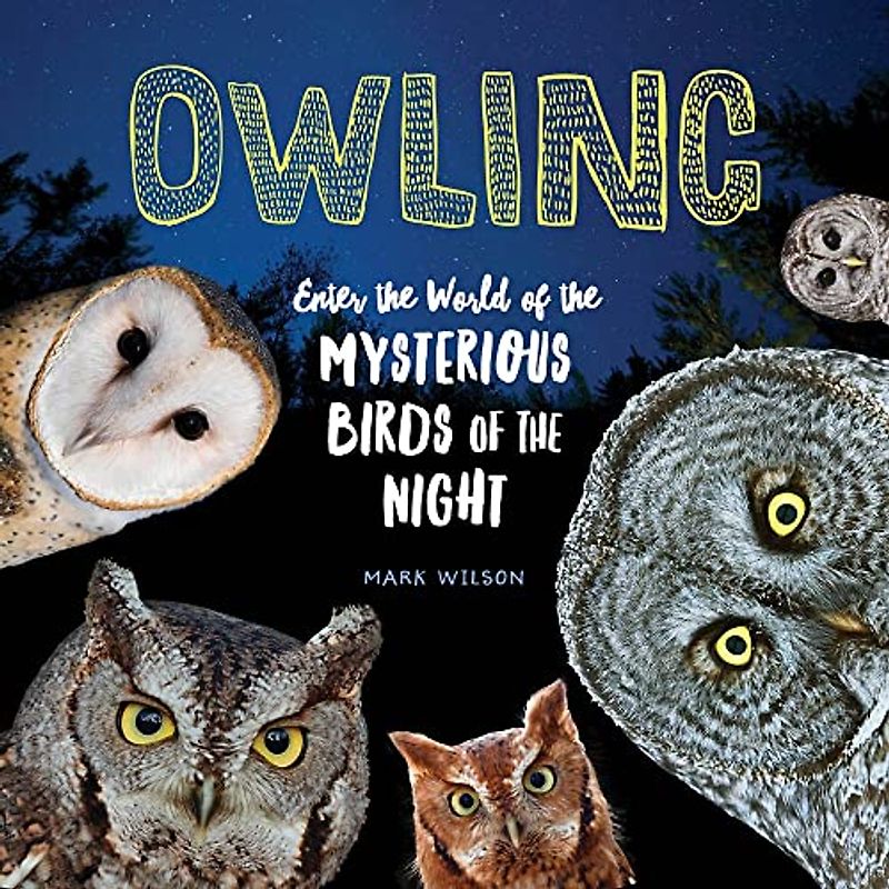 Owling: Enter the World of the Mysterious Birds of the Night: 1