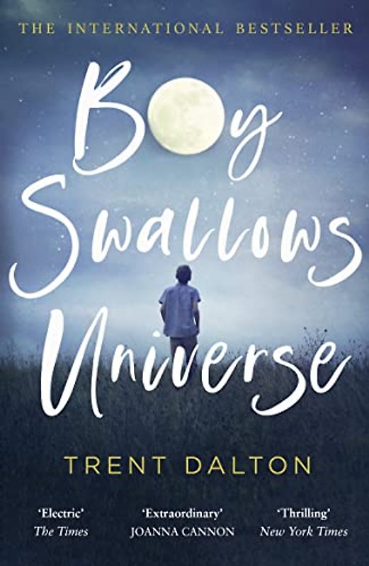 Boy Swallows Universe