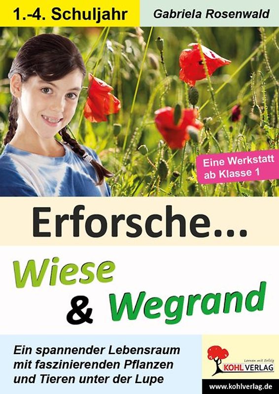 Erforsche Wiese und Wegrand