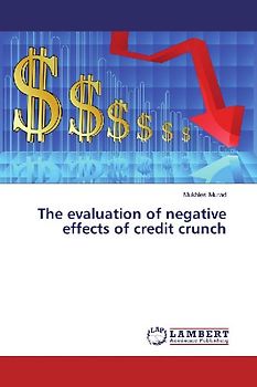 The evaluation of negative effects of credit crunch