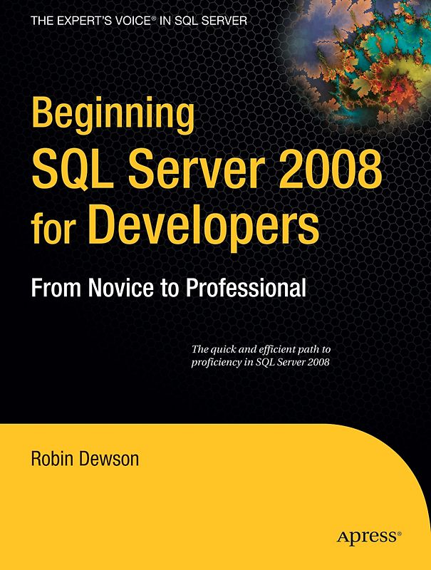 Beginning SQL Server 2008 for Developers