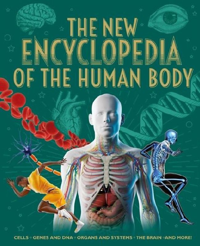 The New Encyclopedia of the Human Body