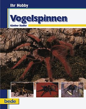 Vogelspinnen