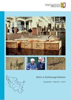 Störe in Schleswig-Holstein