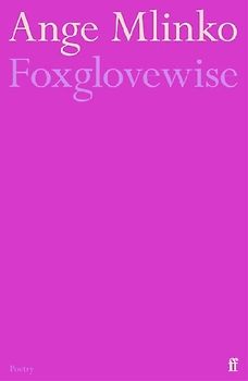 Foxglovewise