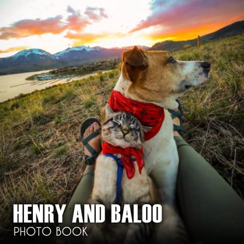 Henry And Baloo Wild Advent Photo Book: Picture Book Of Henry And Baloo Wild Advent With 30+ Photos Pictures, 2023 Photobook For Birthday Christmas Gifts For Men Women Mom Dad Boy Girl