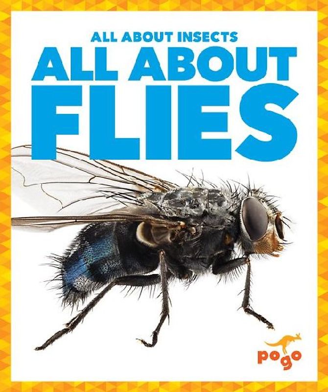 All about Flies