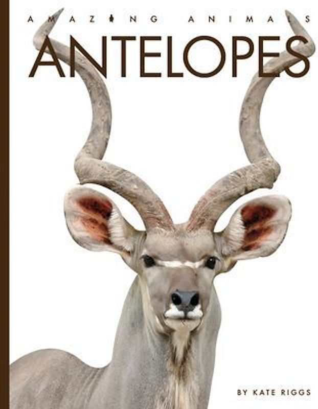 Antelopes