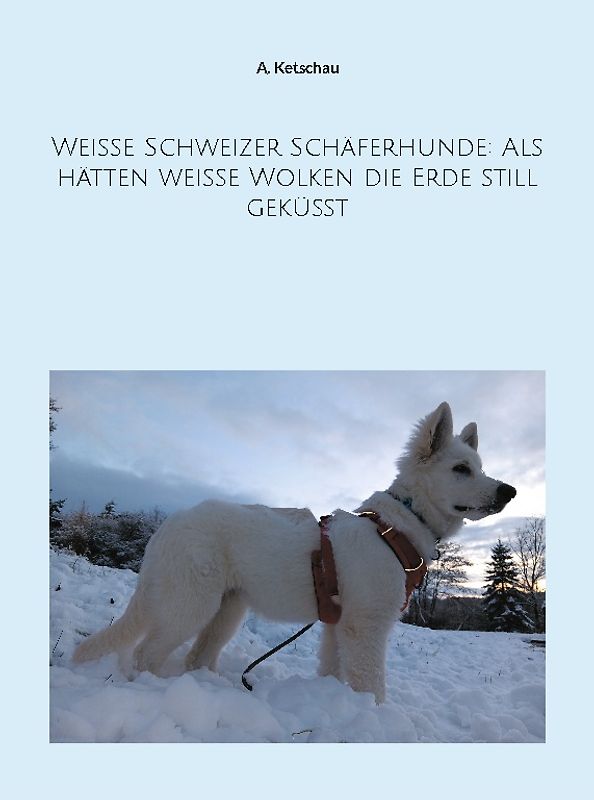 Weiße Schweizer Schäferhunde: Als hätten weiße Wolken die Erde still geküsst