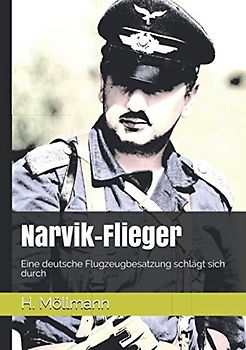 Narvik-Flieger: Eine deutsche Flugzeugbesatzung schlägt sich durch