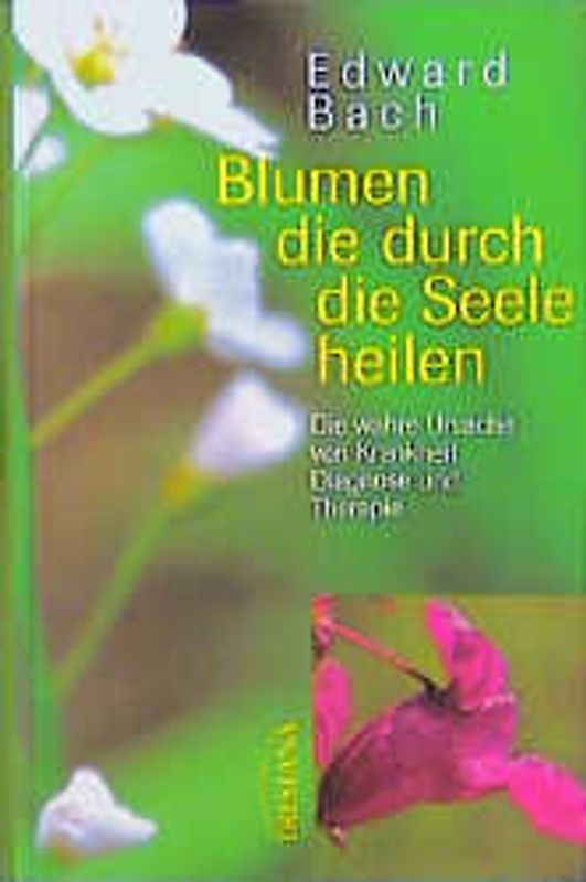 Blumen, die durch die Seele heilen