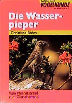 Die Wasserpieper
