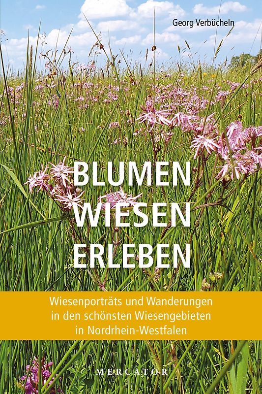 Blumen Wiesen Erleben