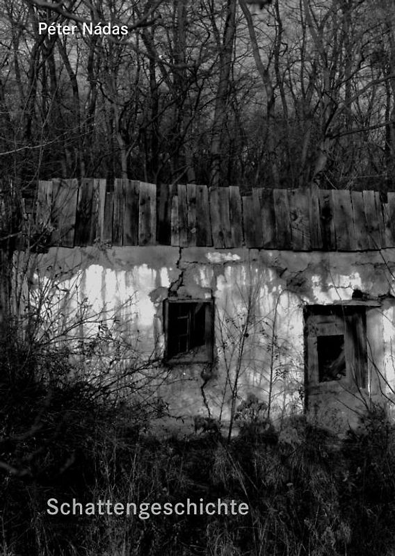 Schattengeschichte – Lichtgeschichte