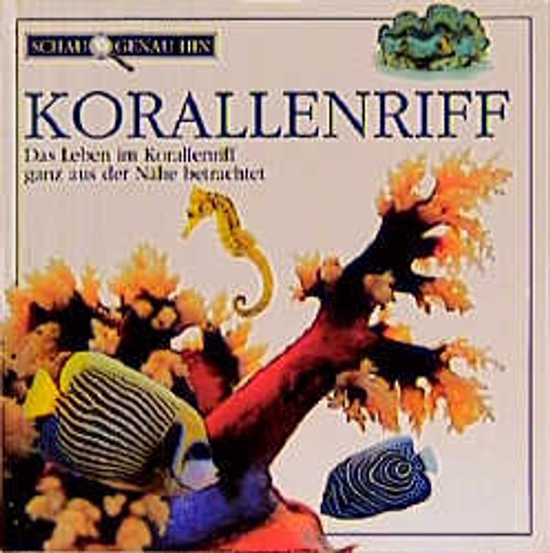 Schau genau hin / Korallenriff