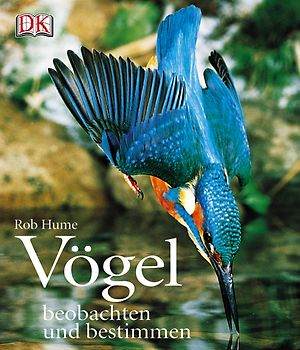 Vögel beobachten und bestimmen