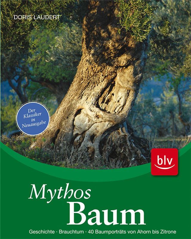 Mythos Baum