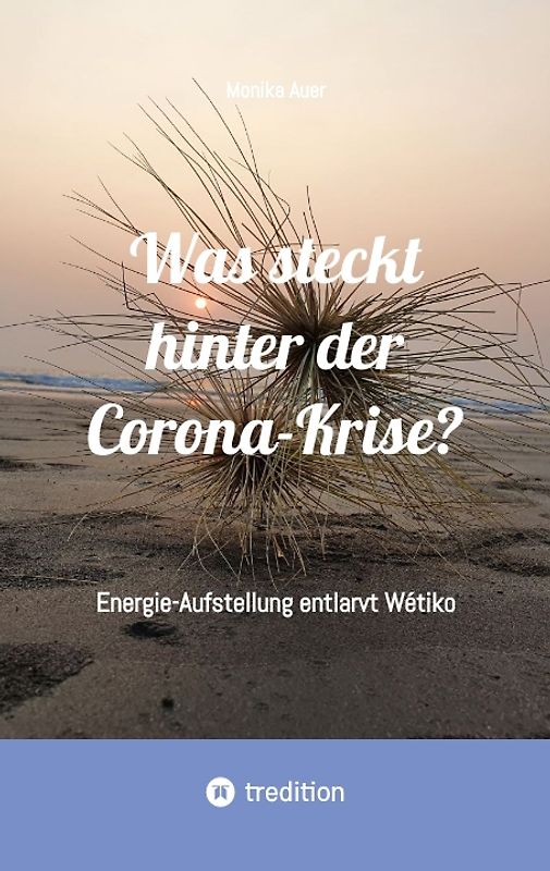 Was steckt hinter der Corona-Krise?