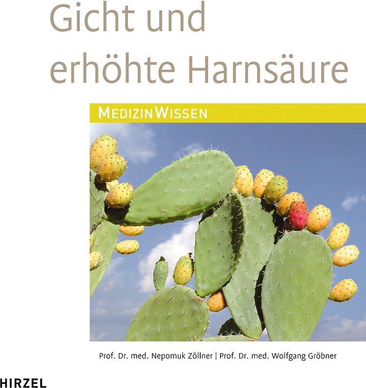 Gicht und erhöhte Harnsäure