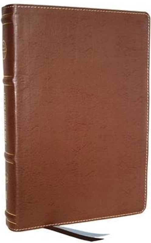 Life in Christ Bible: Discovering, Believing, and Rejoicing in Who God Says You Are (Nkjv, Brown Bonded Leather, Red Letter, Comfort Print)