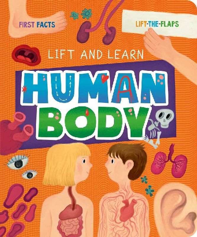 Human Body