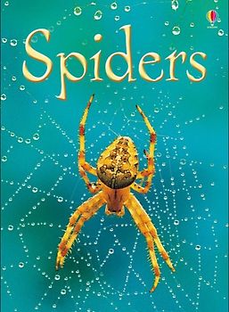 Spiders (Usborne Beginners) - Rebecca Gilpin
