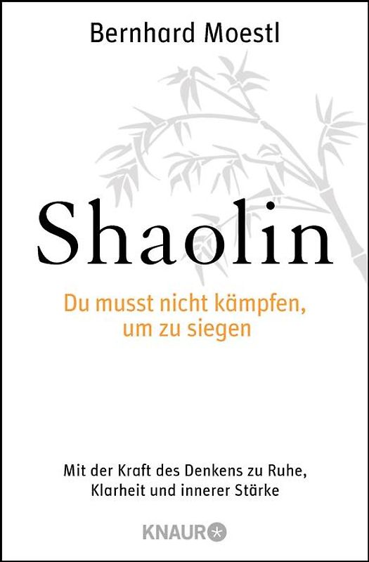 Shaolin - Du musst nicht kämpfen, um zu siegen!