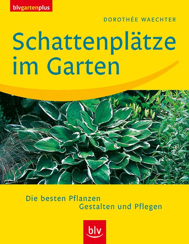 Schattenplätze im Garten