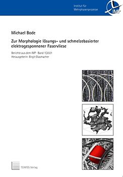Zur Morphologie lösungs- und schmelzbasierter elektrogesponnener Faservliese