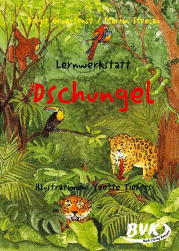 Lernwerkstatt Dschungel