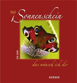Viel Sonnenschein