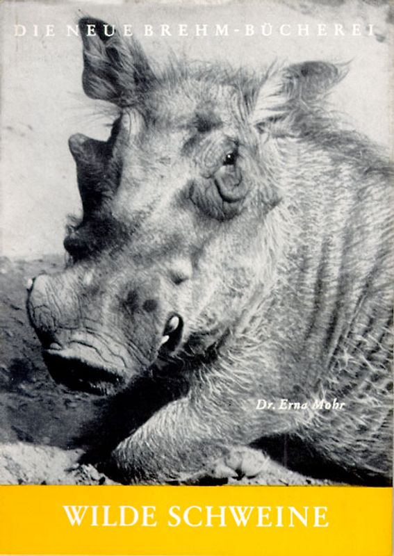 Wilde Schweine