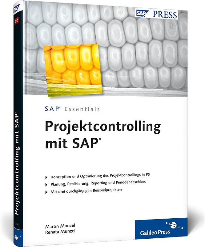 Projektcontrolling mit SAP